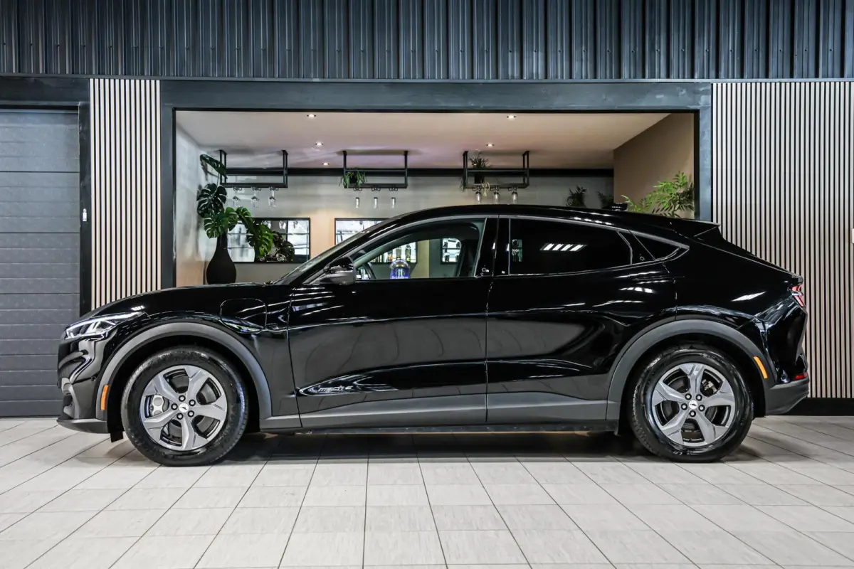 Extended RWD 98 kWh|Leder|Pano|360|B&O