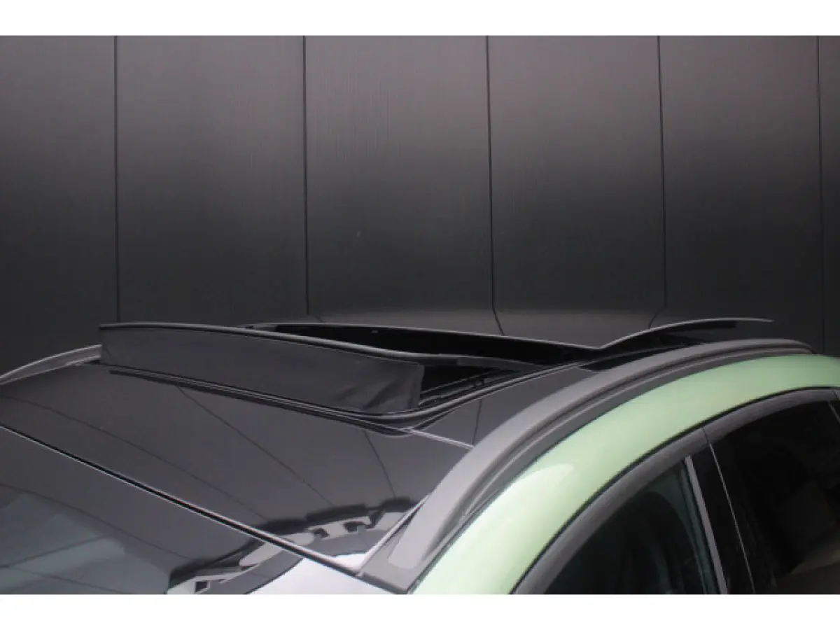 2.5 PHEV ST-Line X | Trekhaak | Panoramadak | Matrix LED | Black-Pack