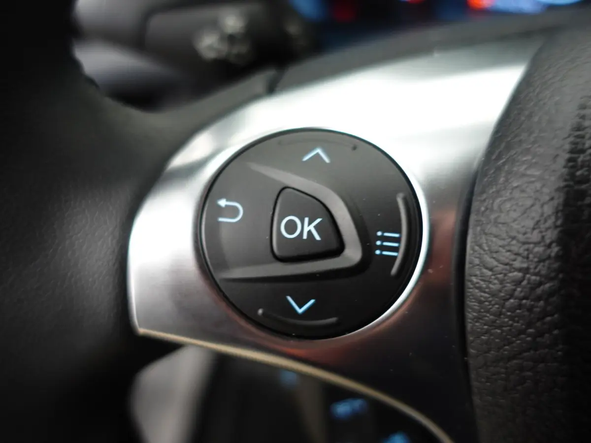 1.5 EcoBlue Automaat L2 Trend DEMO! Trekhaak Navigatie Apple CarPlay Android Auto Camera Parkeerhulp achter Cruise Control Airco Lichtmetalen velgen