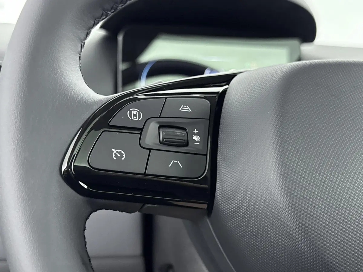Design 37.3 kWh | VOORRAADDEAL! | Direct leverbaar | Metallic Black (enkel uit voorraad leverbaar) | Navigatie | Achteruitrijcamera | Panorama dak