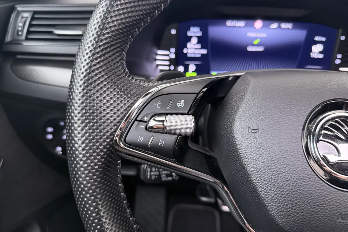 218 PK PHEV Aut. Sportline Pano-Dak Adapt. Cruise Trekhaak