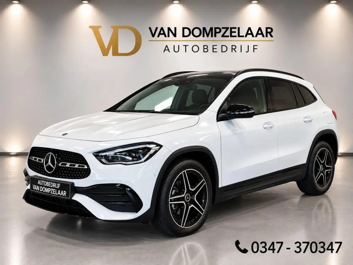 250 e AMG Line PLUG-IN HYBRID / PANODAK / LEDER / TREKH. / 1e eig. /