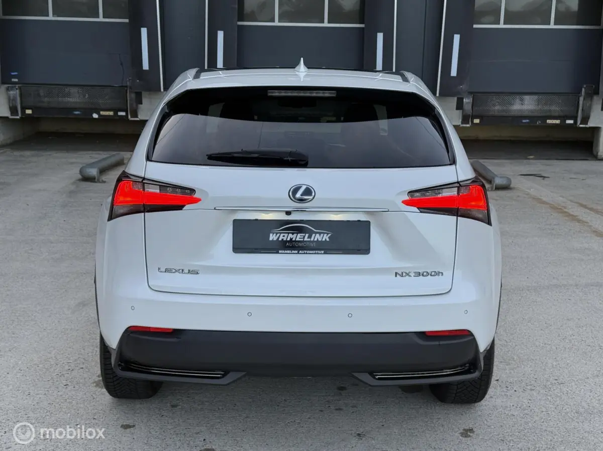 300h AWD F-Sport Edition Parelmoer/Panoramadak