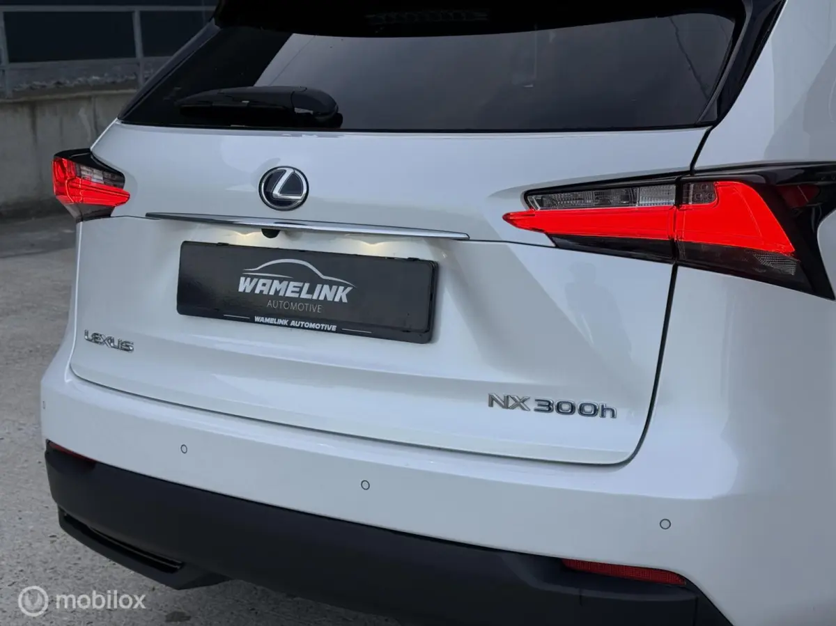300h AWD F-Sport Edition Parelmoer/Panoramadak