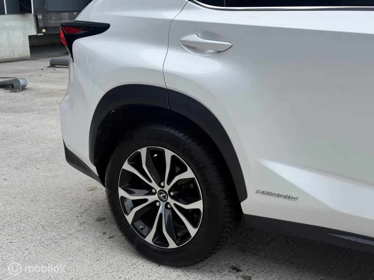 300h AWD F-Sport Edition Parelmoer/Panoramadak