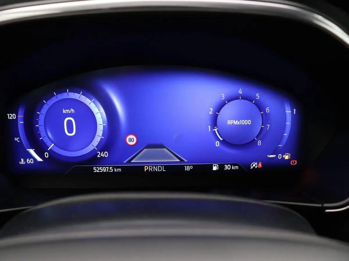 1.0 EcoBoost Hybrid Active Style | Cruise Control | Climate Control | Navigatie systeem | Apple Carplay & Android Auto | Stuurverwarming | Stoelverwarming | Achteruitrijcamera | Trekhaak |