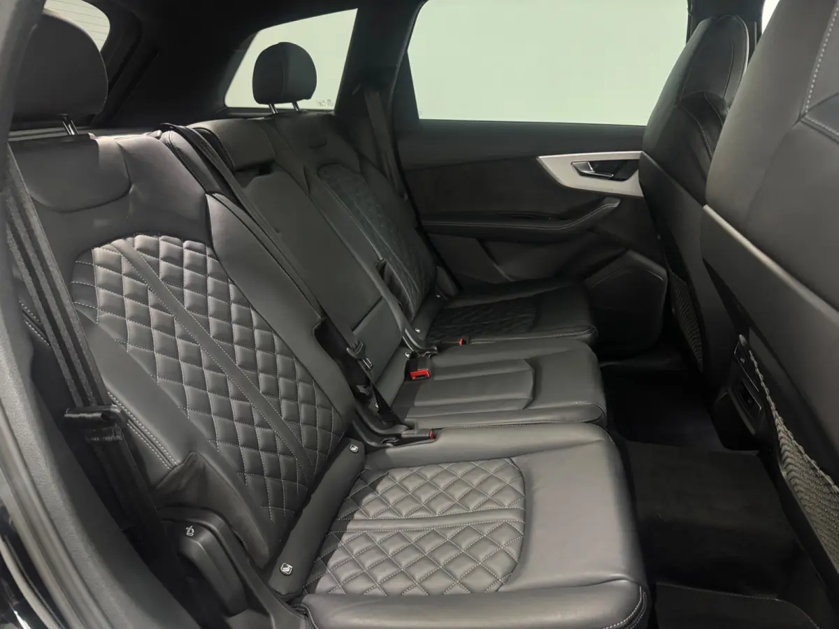 55 TFSI e quattro Pro Line S|LEDER|MEMORY|NAP|INRUIL MOGELIJK|