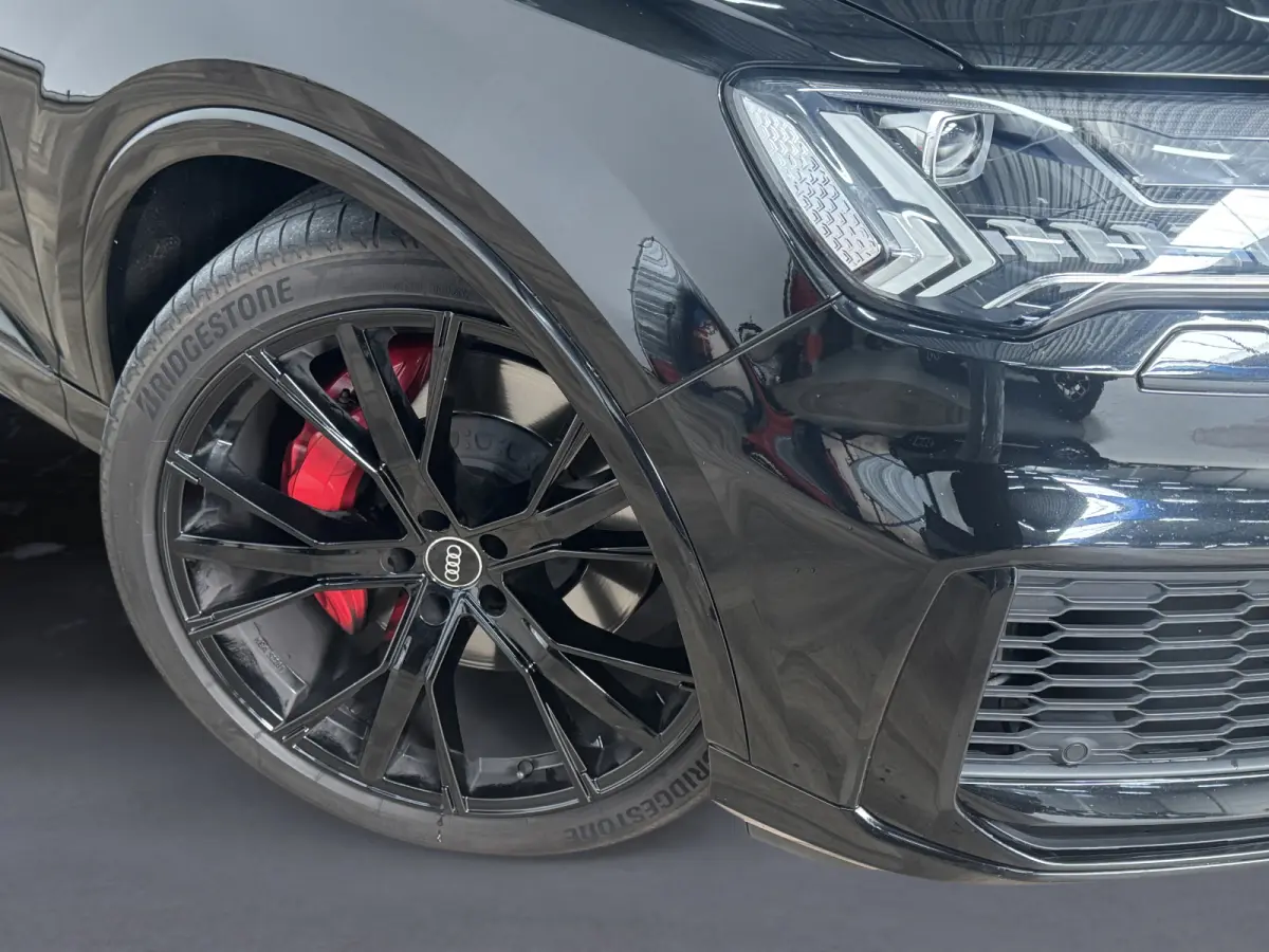 55 TFSI e quattro Pro Line S|LEDER|MEMORY|NAP|INRUIL MOGELIJK|