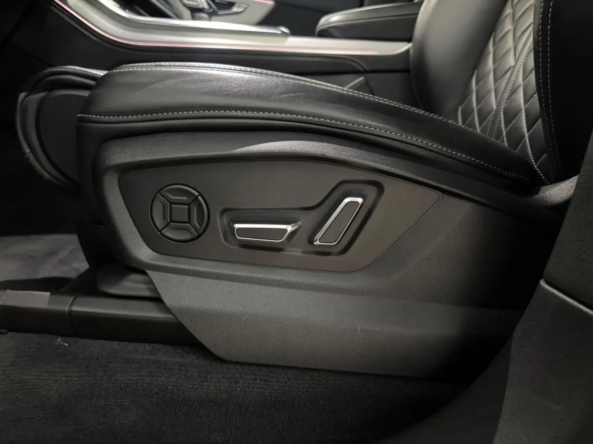 55 TFSI e quattro Pro Line S|LEDER|MEMORY|NAP|INRUIL MOGELIJK|
