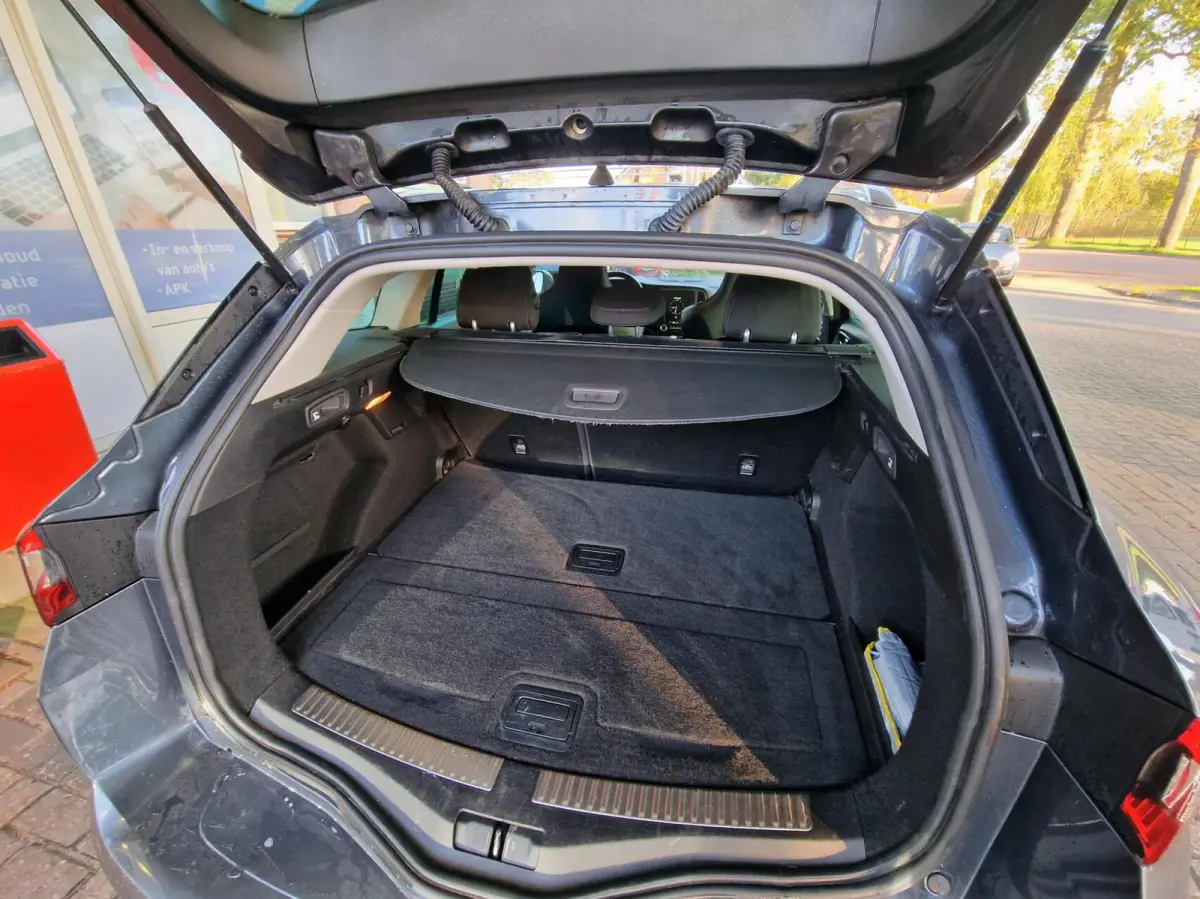 1.2 TCe GT-Line|Bose|Trekhaak|Camera|Cruise|PDC|Sport-stoelen|