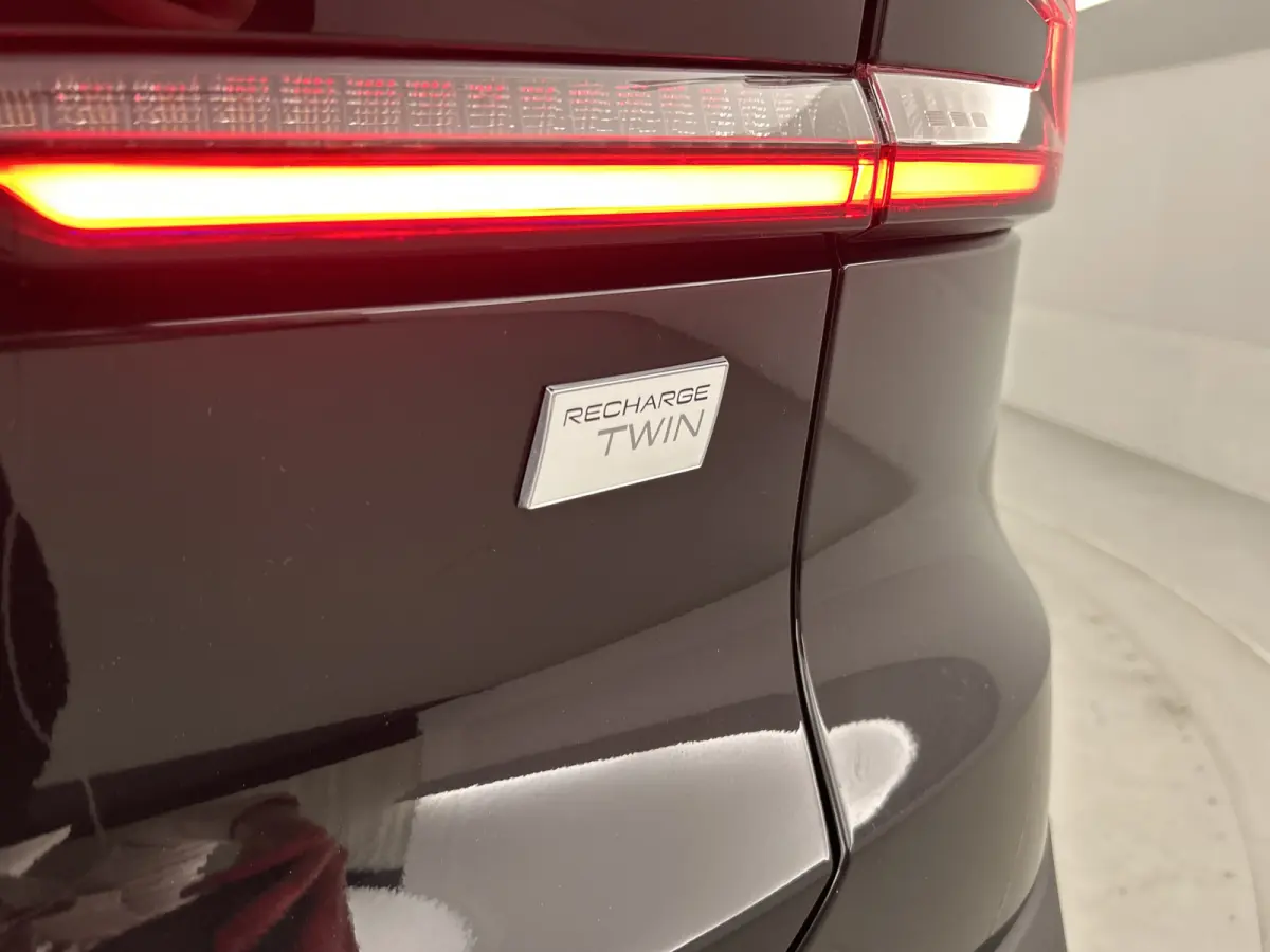 Recharge Twin Plus 82 kWh SOH96% Panodak/20"LMV/ACC/Leder