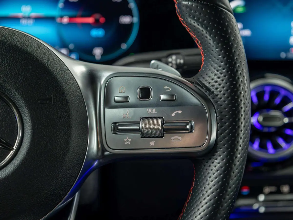 250 AMG Line 67 kWh | Panorama dak