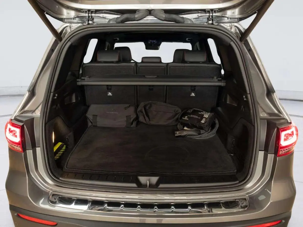 250 AMG Line 67 kWh | Panorama dak