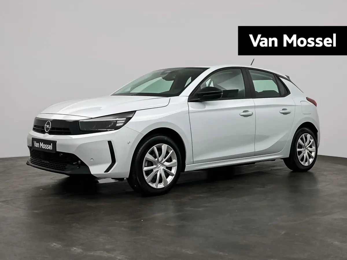 Electric Long Range Business Edition 51 kWh | Camera | Sensoren V+A | Apple Carplay&Android Auto | ECC | LMV | 424km WLTP | 156PK | Tot 8 jaar garantie!