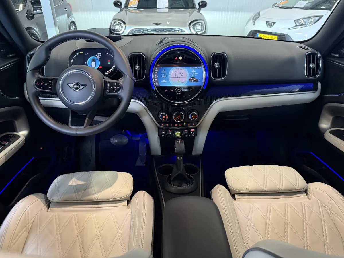 1.5 Cooper SE ALL4 Leder/Pano/Camera/H&K