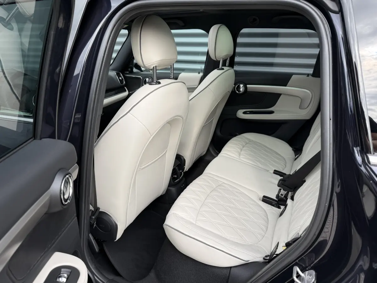 1.5 Cooper SE ALL4 Leder/Pano/Camera/H&K