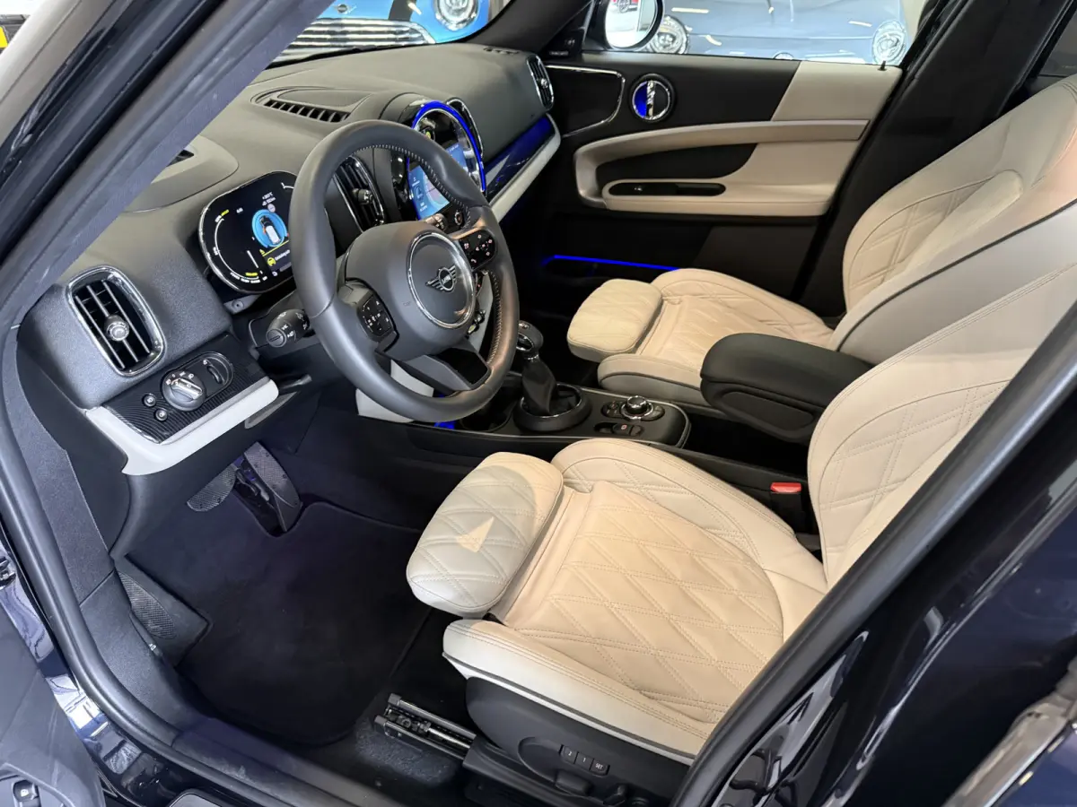 1.5 Cooper SE ALL4 Leder/Pano/Camera/H&K