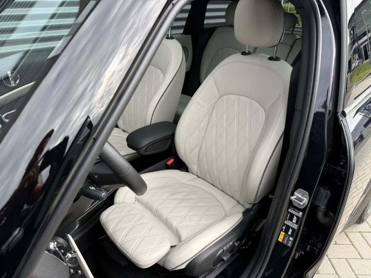 1.5 Cooper SE ALL4 Leder/Pano/Camera/H&K
