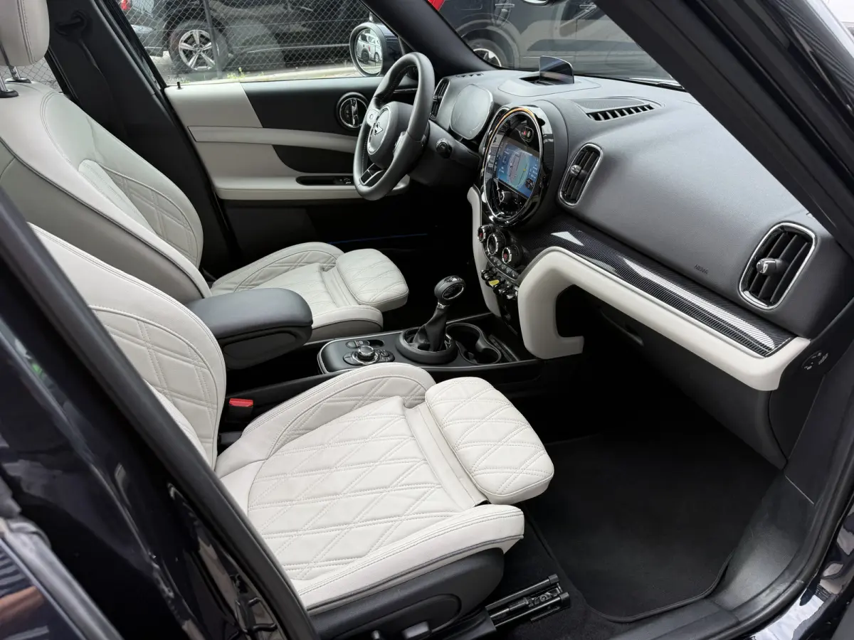 1.5 Cooper SE ALL4 Leder/Pano/Camera/H&K