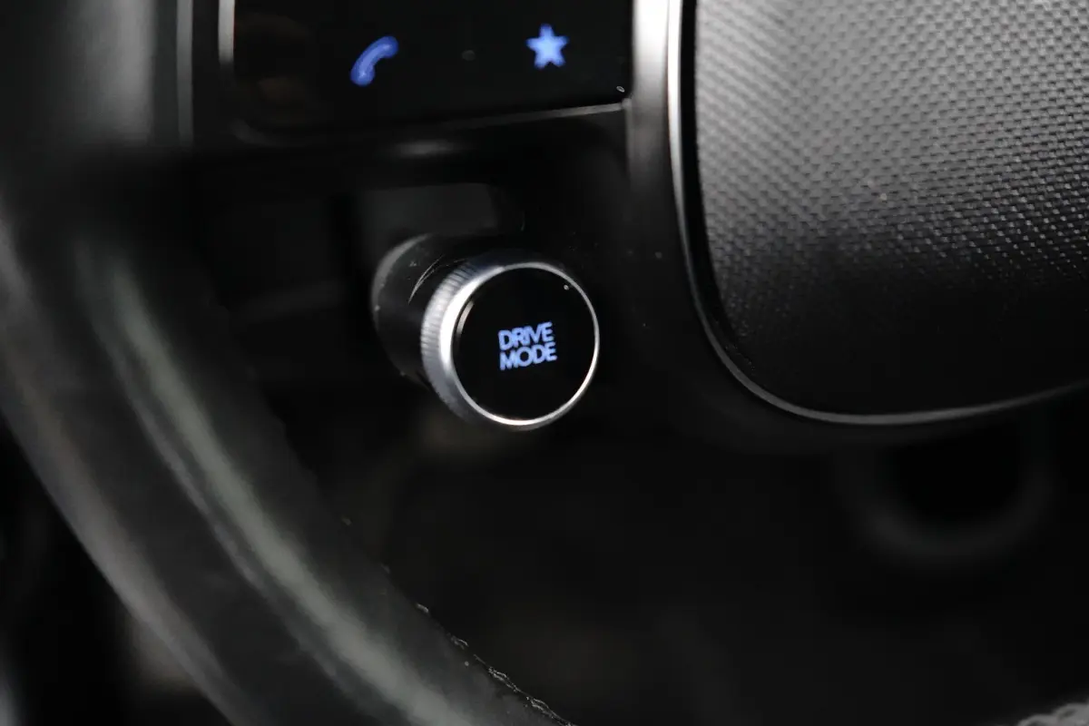 Connect 77,4 kWh | SOH 100% / Elektrische achterklep / Rondomzicht camera / Warmtepomp / Climate control / Stuur- Stoel & Achterbank verwarming / Adaptief cruise control / | Achteruitrijcame