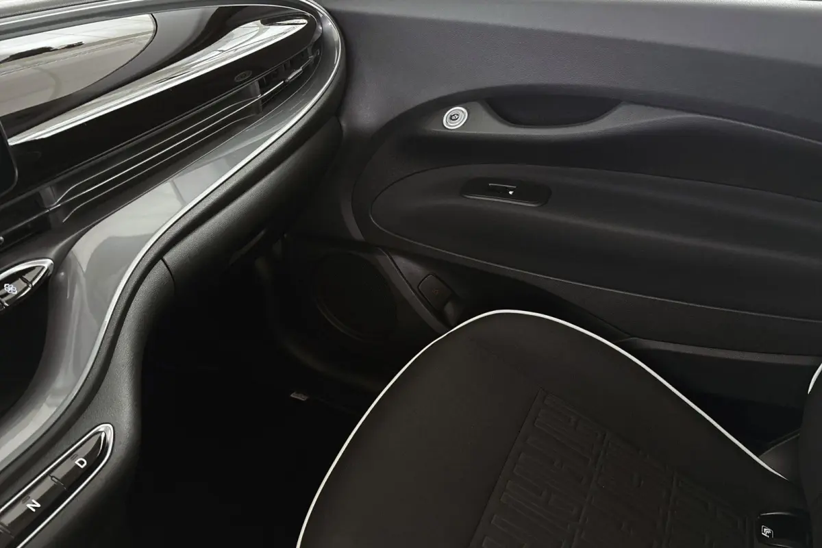3+1 Icon 42 kWh Stoelverwarming Camera Apple CarPlay Dodehoek