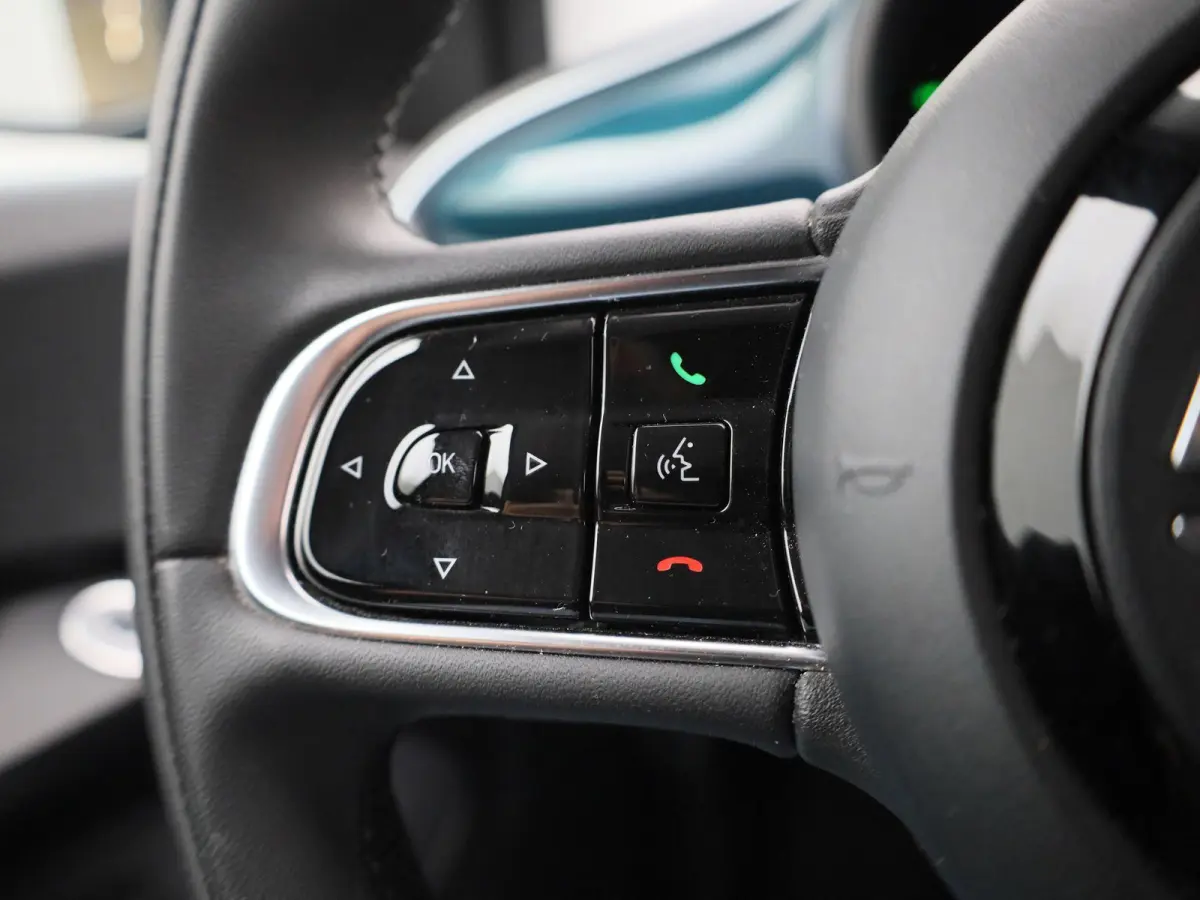 Icon 42 kWh | Automaat | Parkeer sensoren | Navigatie | Virtual cockpit | Stoel verwarming | Climate Control | Cruise control | Lichtmetalen Velgen |