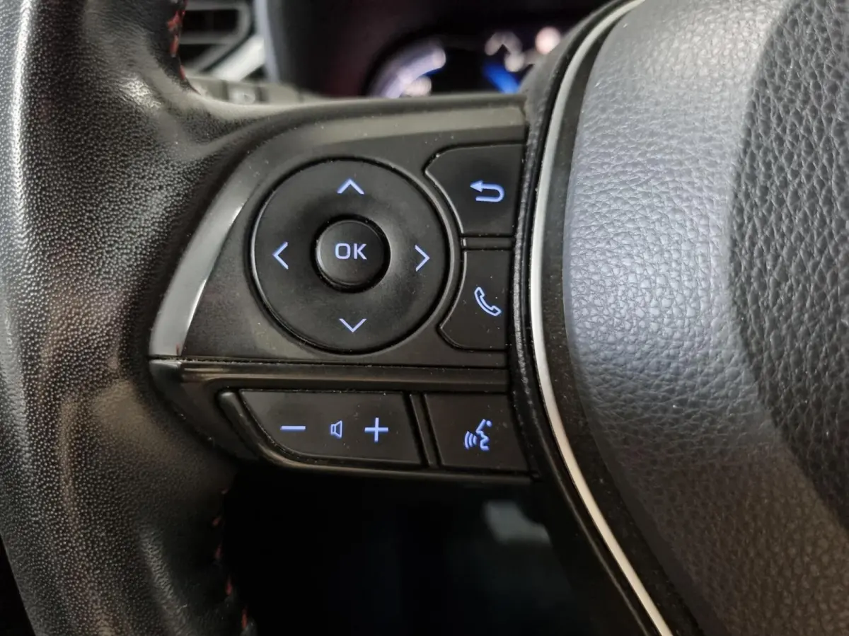 2.5 Plug-in Hybrid AWD Bi-Tone Plus / JBL / HUD / BSM
