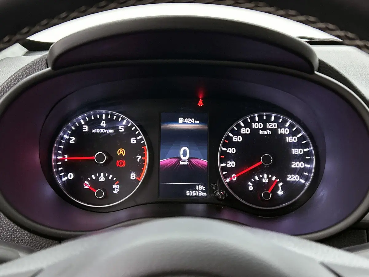 1.0 DPi DynamicLine | Apple Carplay / Android Auto | Achteruitrijcamera | Airco |