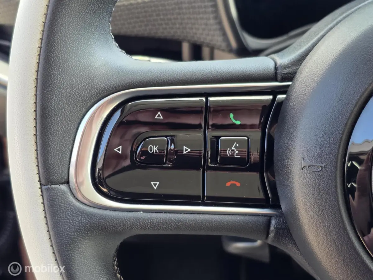 3+1 Icon 42 kWh