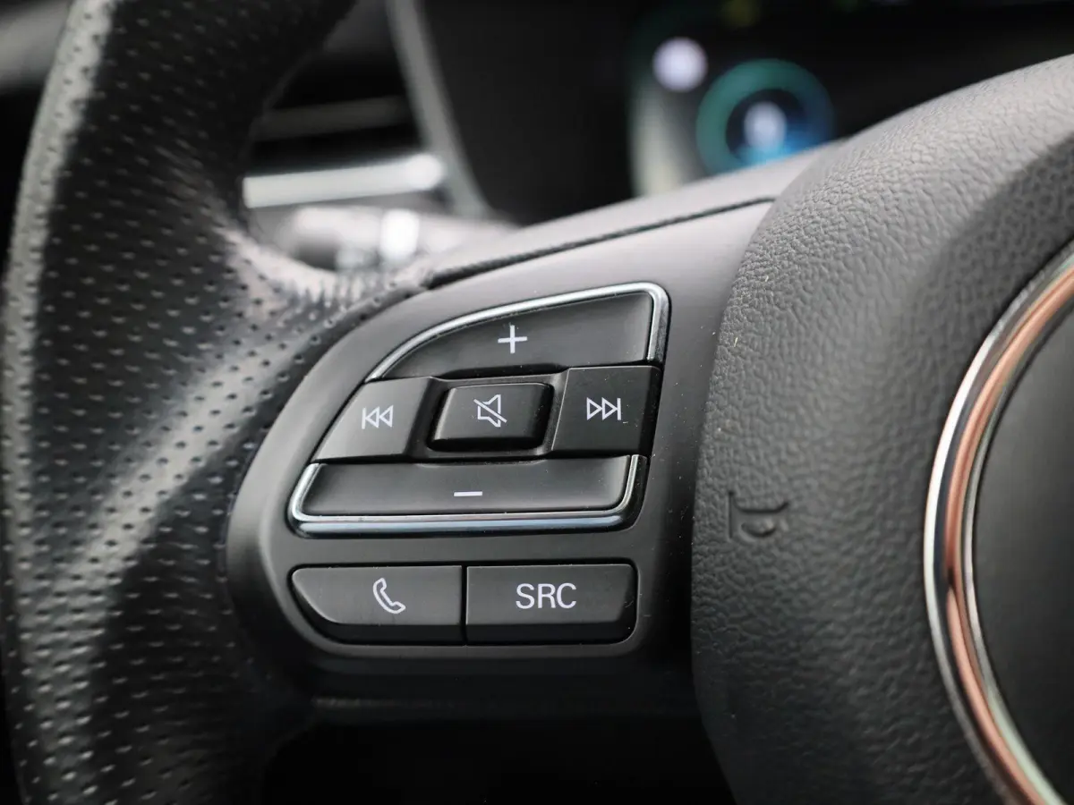 Luxury 70 kWh | Wordt Verwacht | Apple Carplay / Android Auto | Panoramadak | Achteruitrijcamera | Parkeersensoren | Trekhaak |
