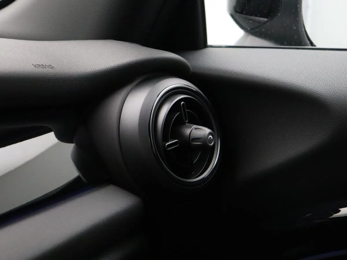 Business Edition 33 kWh | Sportstoel |  Stoelverwarming | Driving Assistant Plus | Achteruitrijcamera |