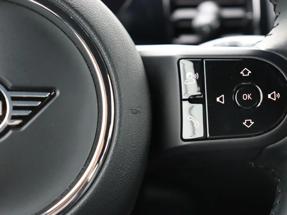 Business Edition 33 kWh | Sportstoel |  Stoelverwarming | Driving Assistant Plus | Achteruitrijcamera |