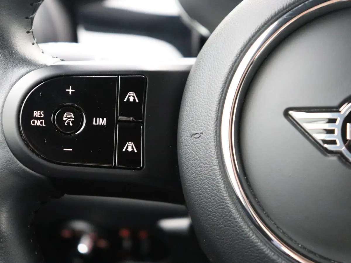 Business Edition 33 kWh | Sportstoel |  Stoelverwarming | Driving Assistant Plus | Achteruitrijcamera |