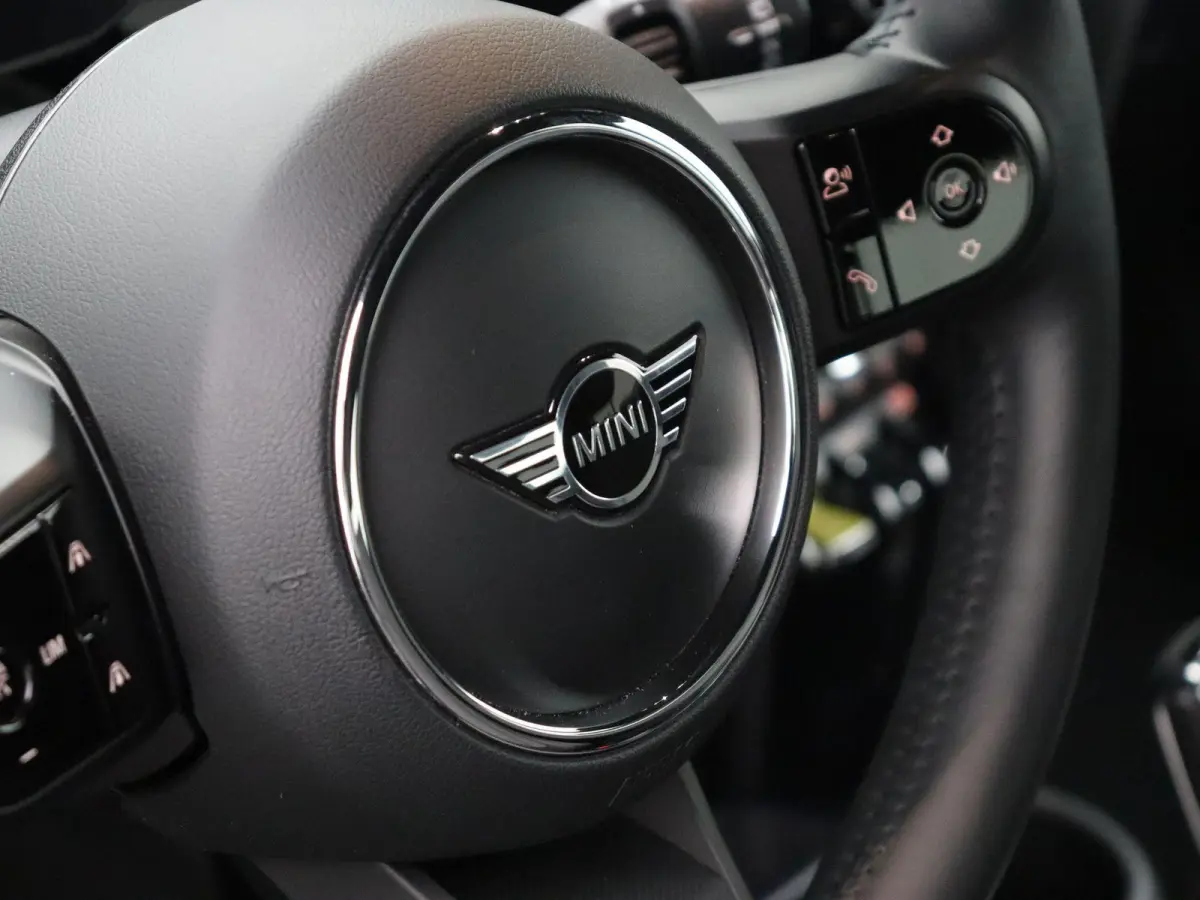 Business Edition 33 kWh | Sportstoel |  Stoelverwarming | Driving Assistant Plus | Achteruitrijcamera |