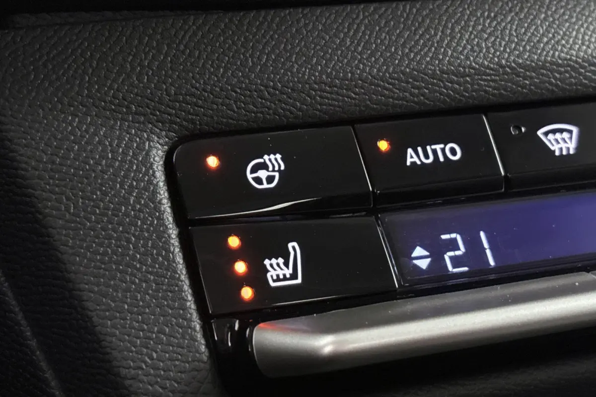 Extended range GS 54 kWh Stuur-Stoelverwarming Camera Apple CarPlay