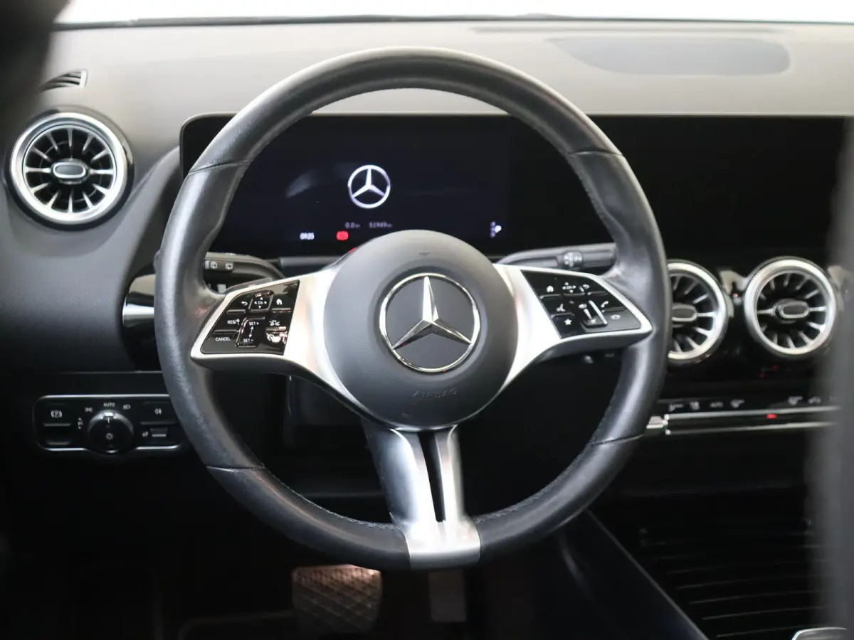 250 e Star Edition Luxury Line / Panoramadak/ Rijassistentiepakket/ Night/ El. Trekhaak