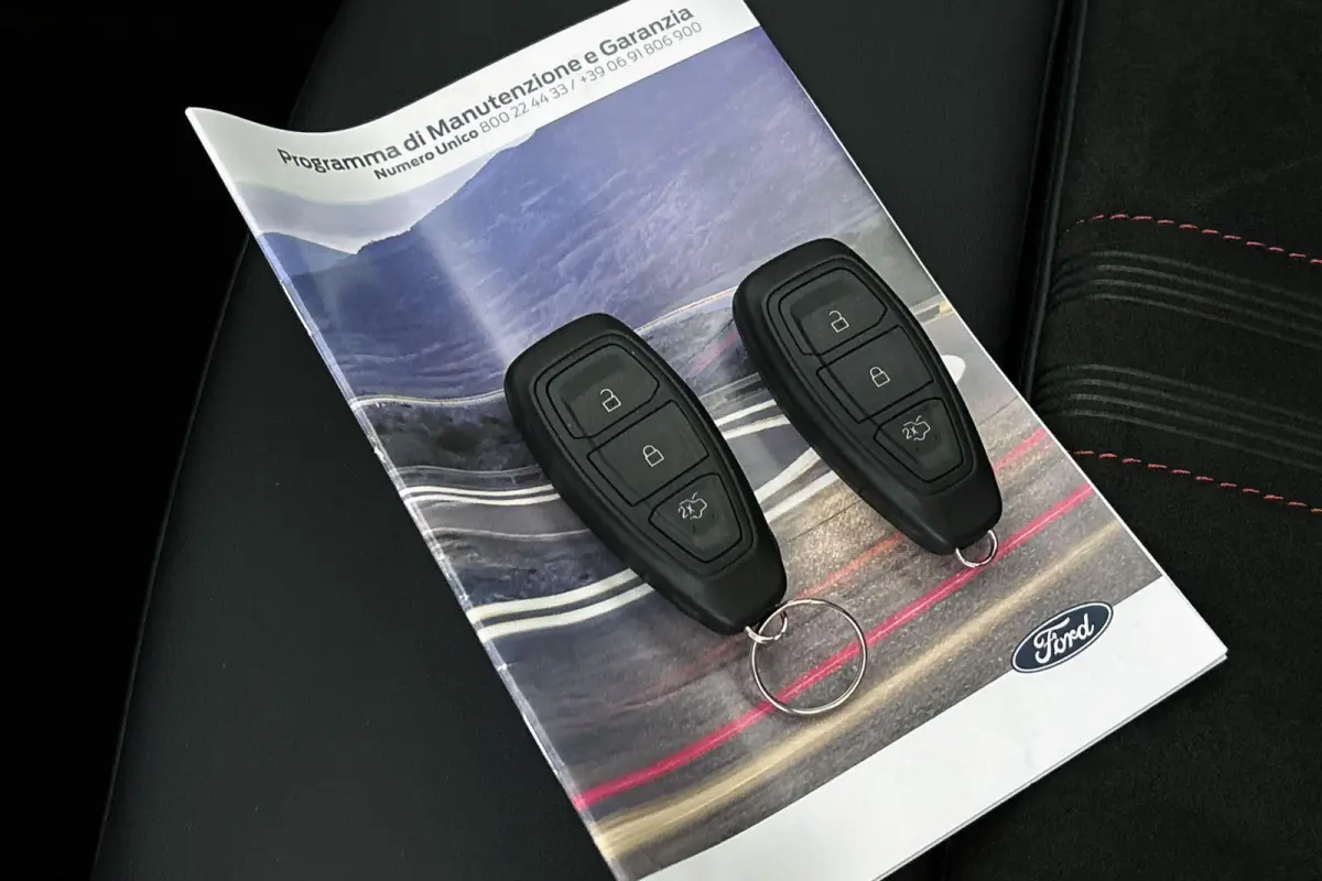 2.5 PHEV ST-Line X Panoramadak Winter Pakket Head-Up