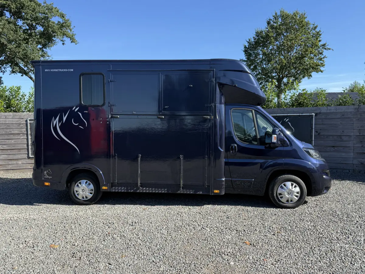 | HORSETRUCK | MVV | STALLION 3XL | 2015 | HENGST | MANUAL | 3-SEAT | 130PK | NO VAT | MARGE  | NEDERLANDS KENTEKEN