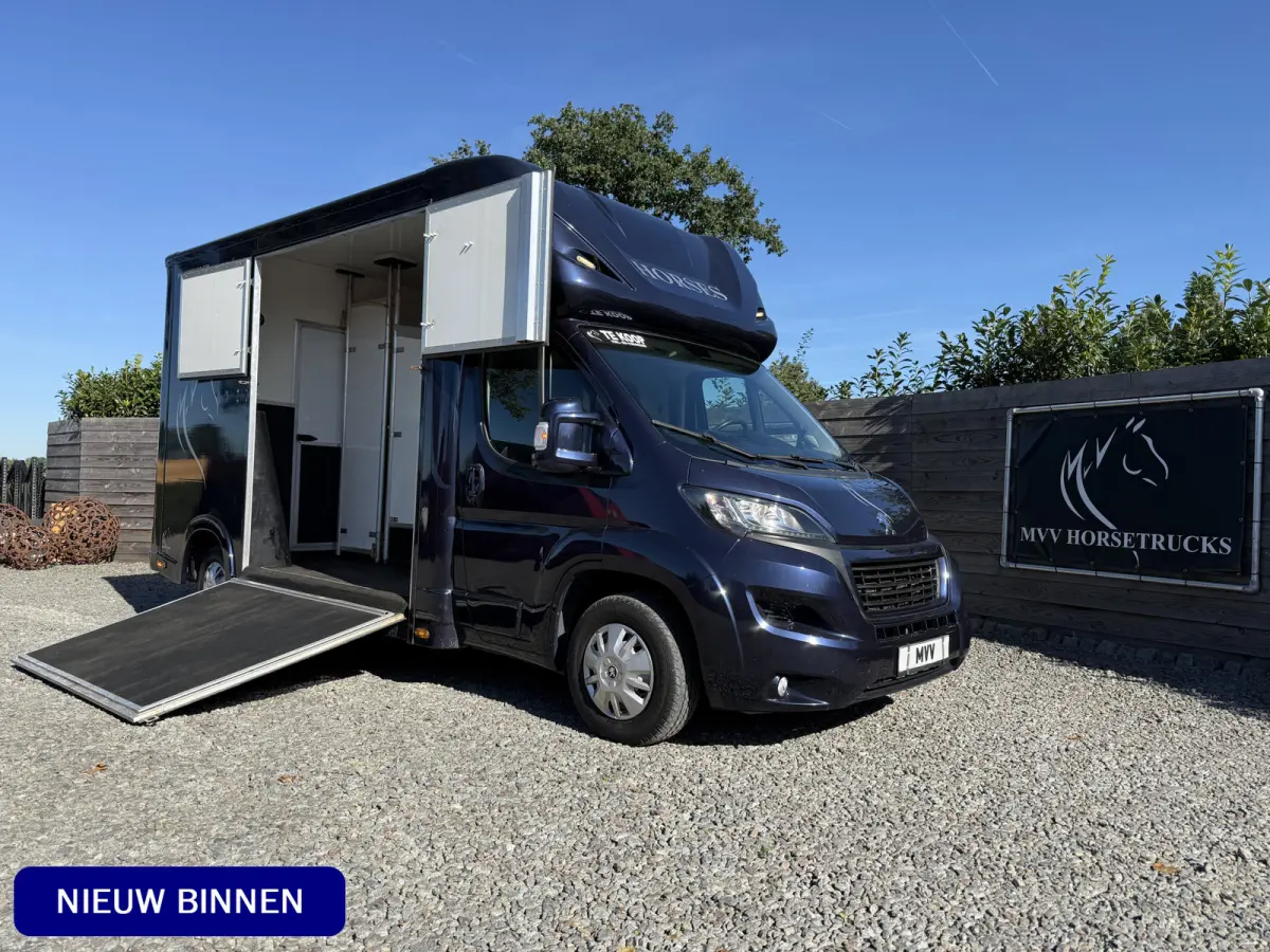 | HORSETRUCK | MVV | STALLION 3XL | 2015 | HENGST | MANUAL | 3-SEAT | 130PK | NO VAT | MARGE  | NEDERLANDS KENTEKEN