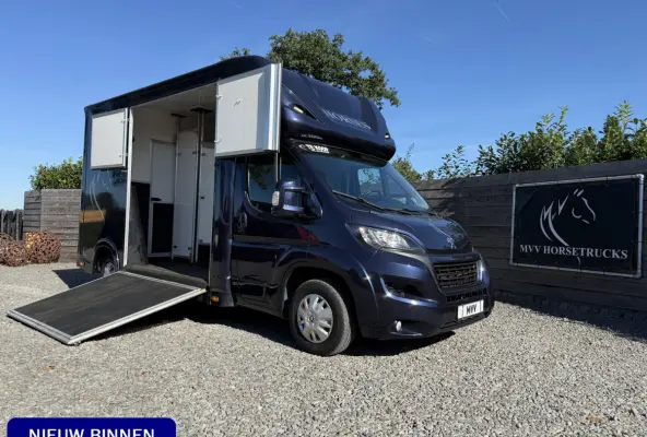 | HORSETRUCK | MVV | STALLION 3XL | 2015 | OPBOUW 2021 | HENGST | MANUAL | 3-SEAT | 130PK | EURO 5 | NO VAT | MARGE  | NEDERLANDS KENTEKEN