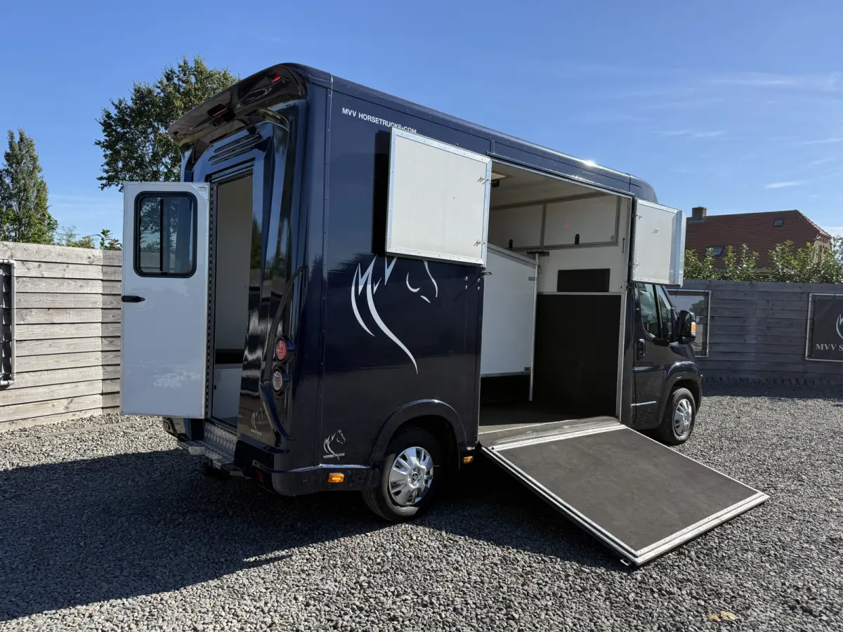 | HORSETRUCK | MVV | STALLION 3XL | 2015 | HENGST | MANUAL | 3-SEAT | 130PK | NO VAT | MARGE  | NEDERLANDS KENTEKEN