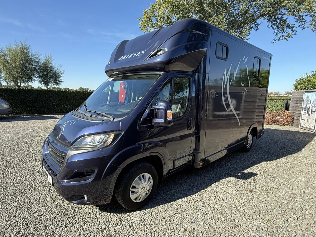 | HORSETRUCK | MVV | STALLION 3XL | 2015 | HENGST | MANUAL | 3-SEAT | 130PK | NO VAT | MARGE  | NEDERLANDS KENTEKEN