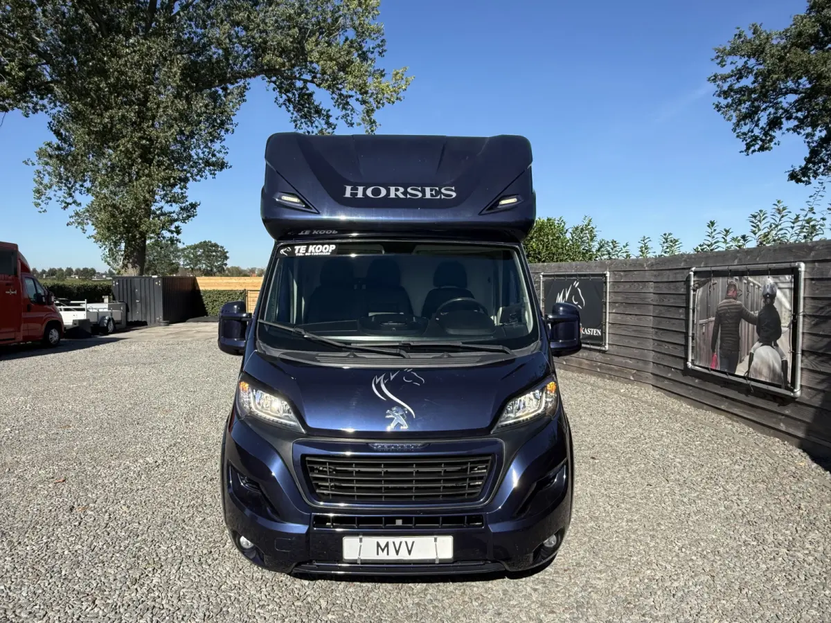 | HORSETRUCK | MVV | STALLION 3XL | 2015 | HENGST | MANUAL | 3-SEAT | 130PK | NO VAT | MARGE  | NEDERLANDS KENTEKEN