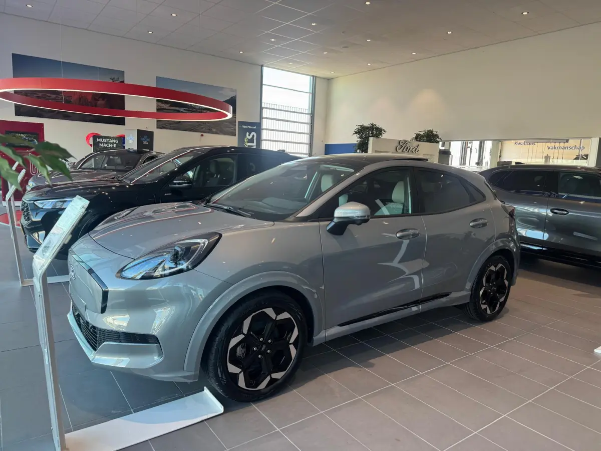 Premium FWD 47 kWh | Winterpack | Dodehoekdetectie | B&O Audiosysteem | Adaptive Cruise Ctrl. | Achteruitrijcamera | Elek. Achterklep | Afneembare Trekhaak | Panorama Dak |