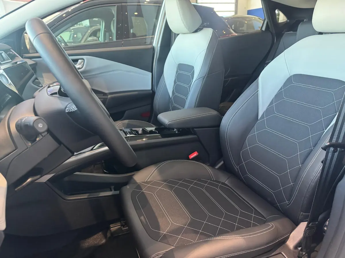 Premium FWD 47 kWh | Winterpack | Dodehoekdetectie | B&O Audiosysteem | Adaptive Cruise Ctrl. | Achteruitrijcamera | Elek. Achterklep | Afneembare Trekhaak | Panorama Dak |