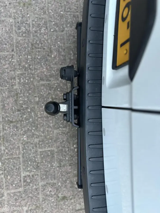 300 2.0 TDCI 129 PK L1H1 Trend MHEV