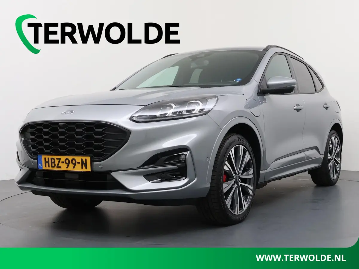 2.5 PHEV ST-Line X | Winter Pack | Technology Pack | Wegklapbare trekhaak |