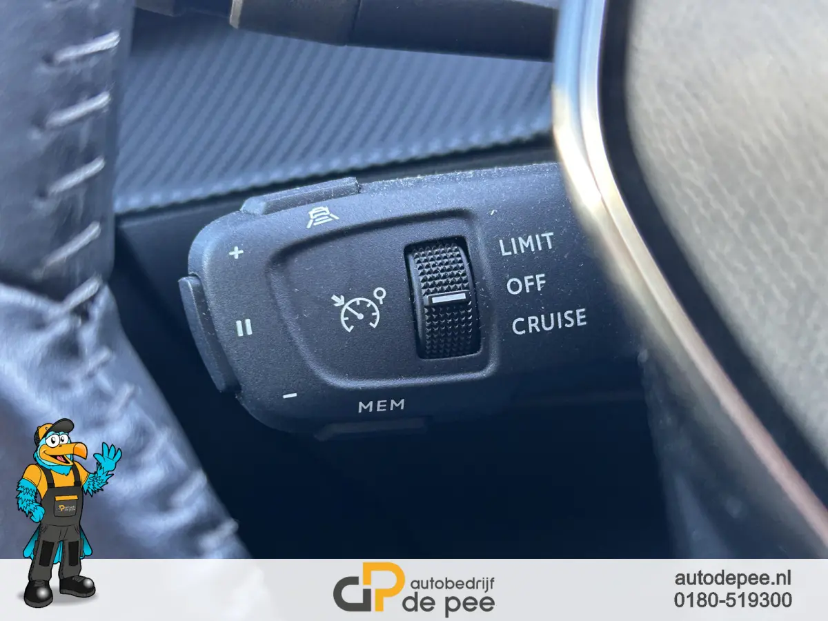EV Allure 50 kWh GARANTIE/CCS/SOH 89%/CARPLAY/CRUISE/CLIMA/NAVI/CAMERA/LICHTMETAAL