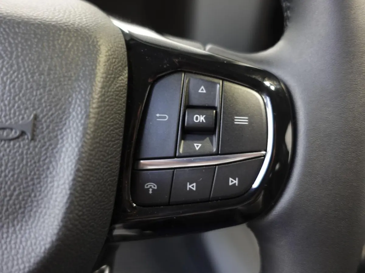 300 2.0 TDCI L2H1 Trend Dubbele Cabine Nieuw Model Trekhaak Navigatie Apple CarPlay Android Auto Camera Parkeerhulp Adaptive Cruise Control Climate Control Lichtmetalen velgen