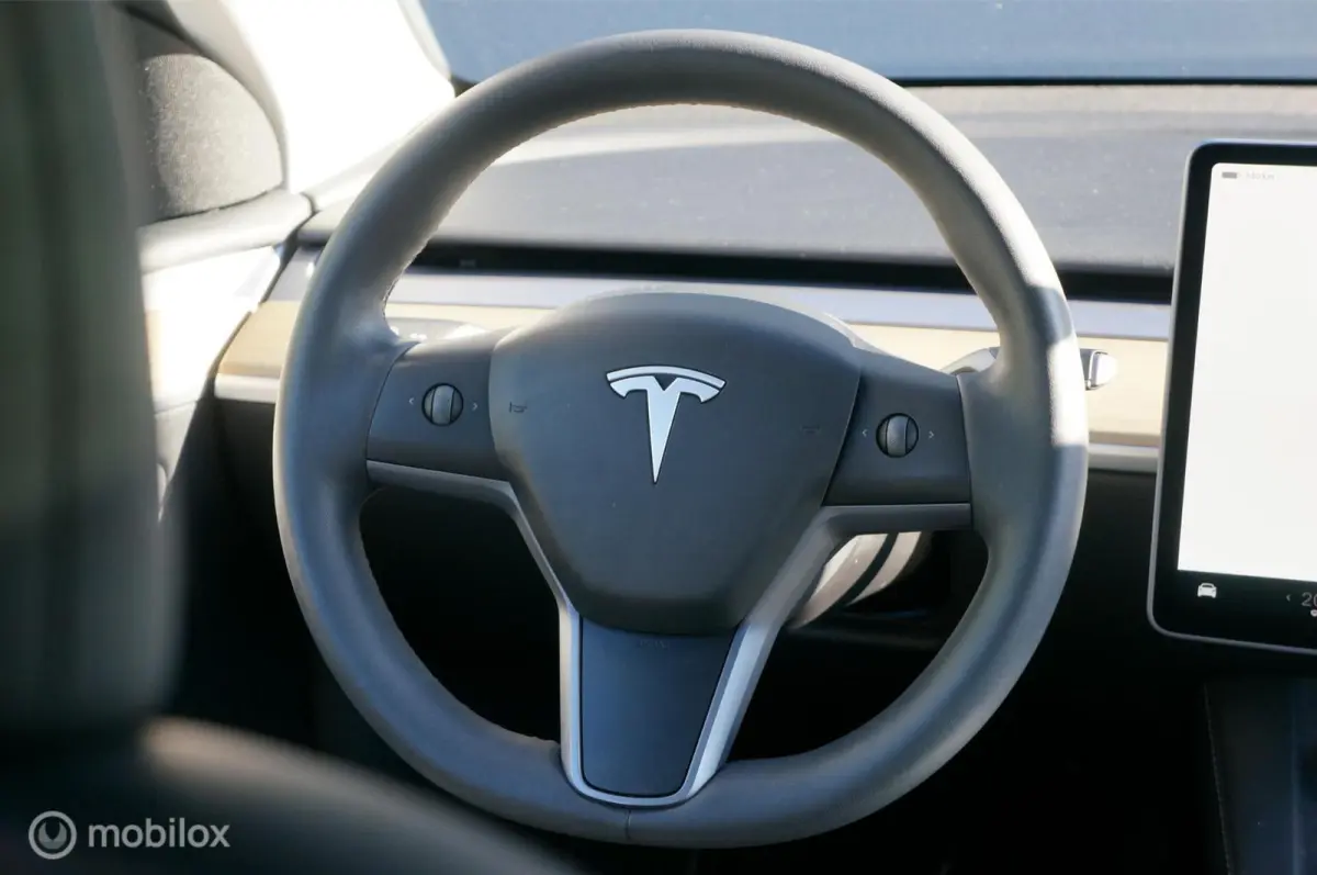 RWD 58 kWh Premium Leather FSD Pano Trekhaak !